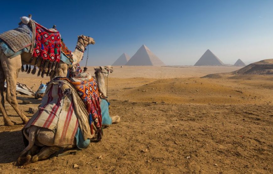 Transport to Giza pyramids and Egyptian museum and Khan Bazaar 8 hours