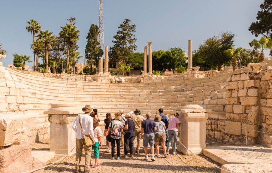 Transport to Alexandria 8 hours