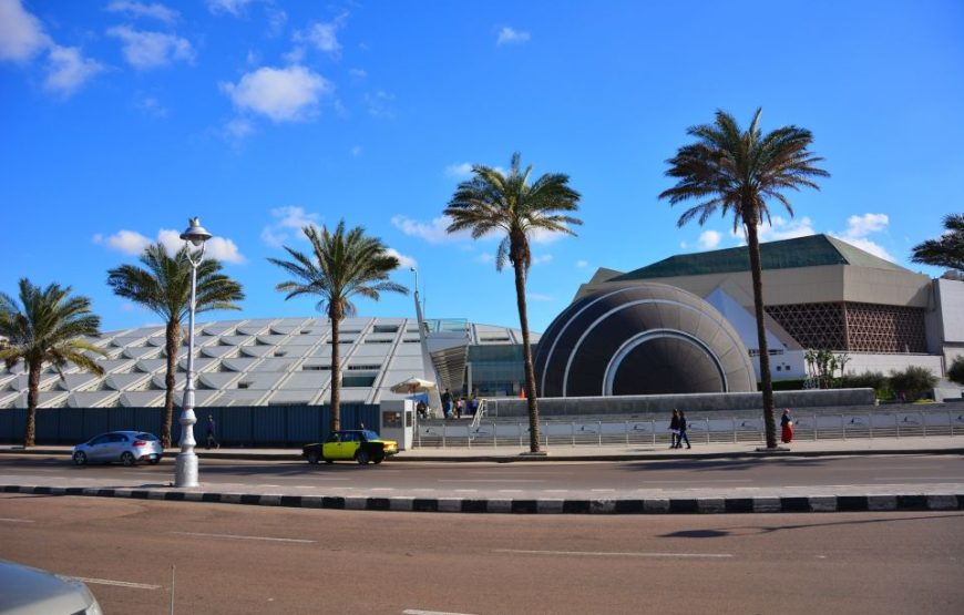 Transport to Alexandria 8 hours