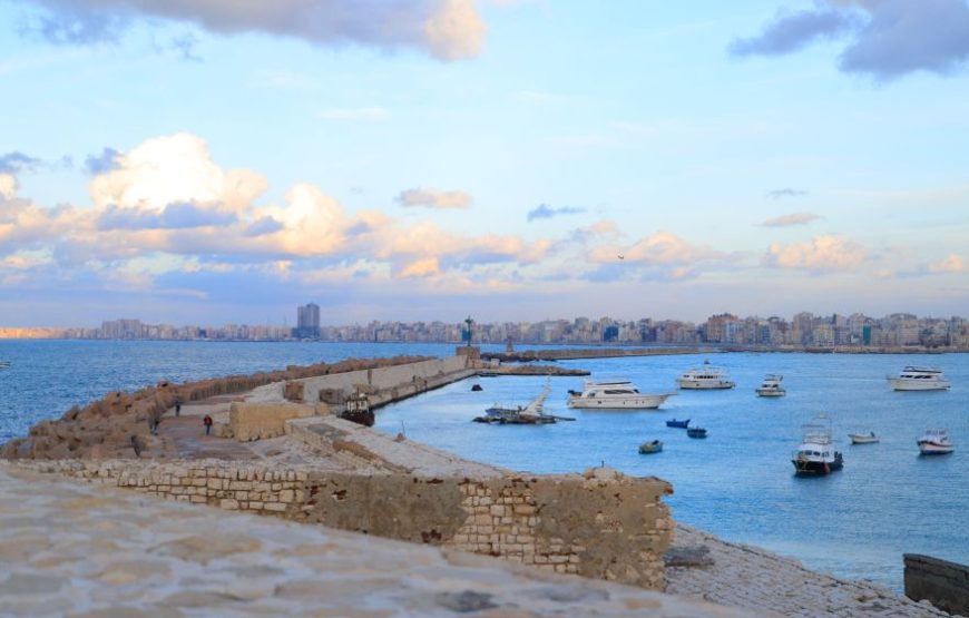 Transport to Alexandria 8 hours