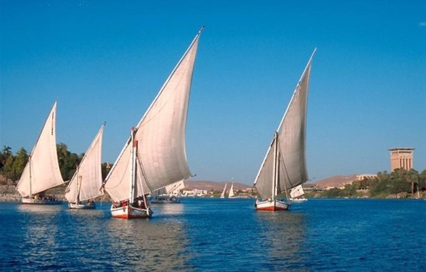 Transport to Egyptian museum and flucca sailboat in the Nile 8 hours
