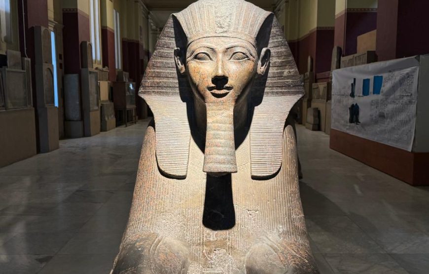 Egyptian Museum and Citadel and old Cairo (Car + Guide)