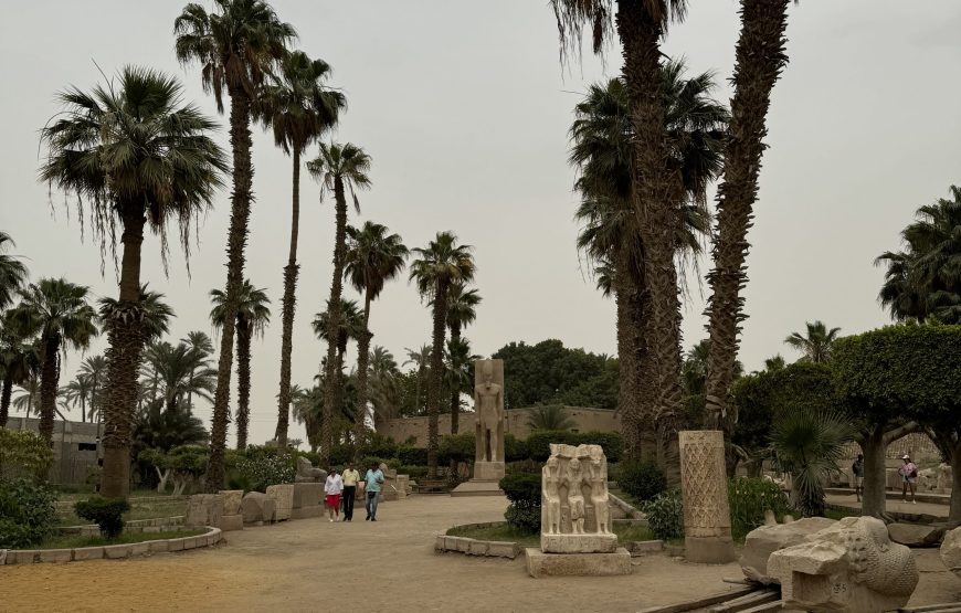 Half day Sakkara and Memphis (Car + Guide + Ticket + Lunch)