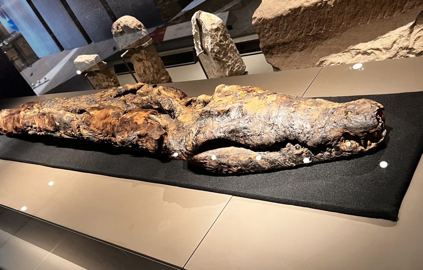 The Grand Egyptian Museum and Giza Pyramids (Car + Guide)