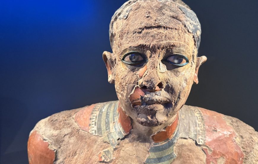 Grand Egyptian Museum Half-Day Experience (Car + Guide)