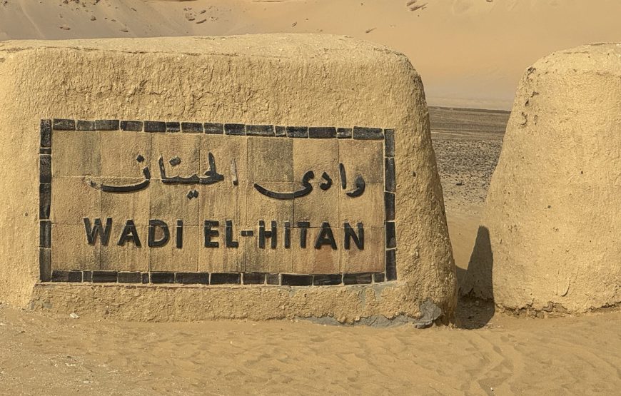 Fayoum Day Tour – Wadi El Hitan & Wadi El Rayan