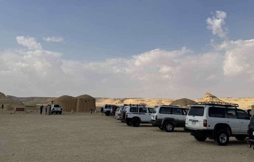 Fayoum Day Tour – Wadi El Hitan & Wadi El Rayan