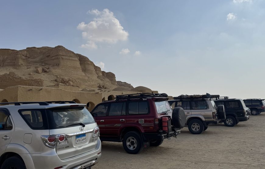 Fayoum Day Tour – Wadi El Hitan & Wadi El Rayan
