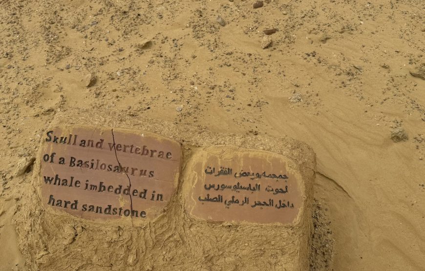 Fayoum Day Tour – Wadi El Hitan & Wadi El Rayan