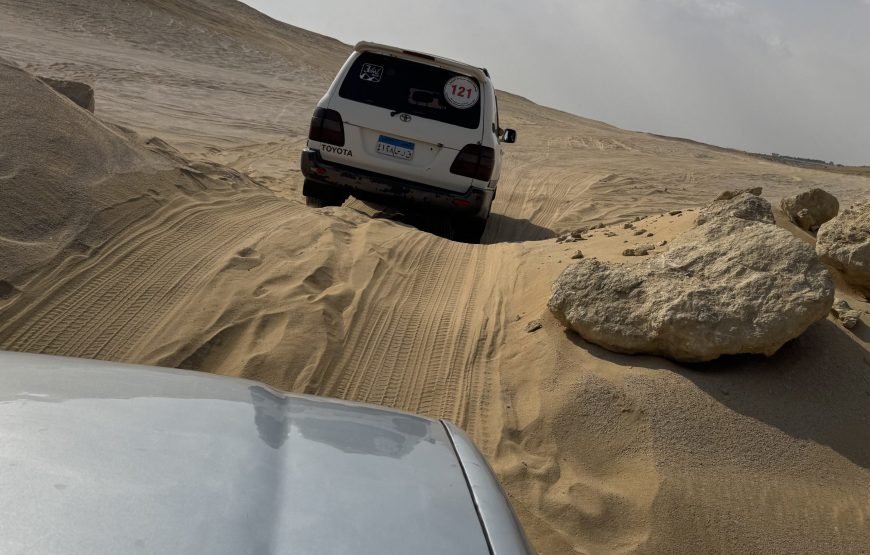 Fayoum Day Tour – Wadi El Hitan & Wadi El Rayan