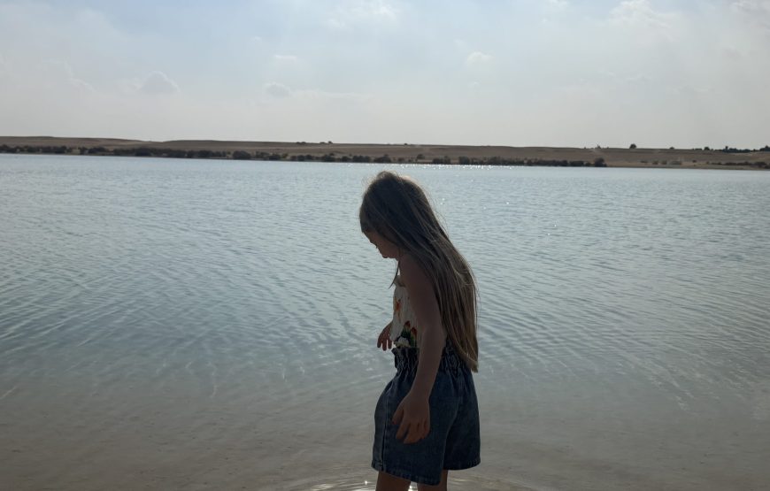 Fayoum Day Tour – Wadi El Hitan & Wadi El Rayan