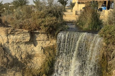 Fayoum Day Tour – Wadi El Hitan & Wadi El Rayan