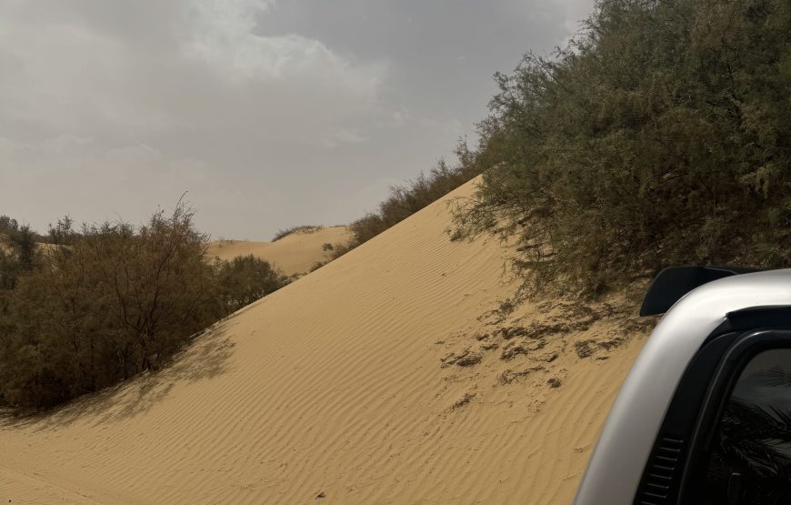 White & Black Desert Safari Experience