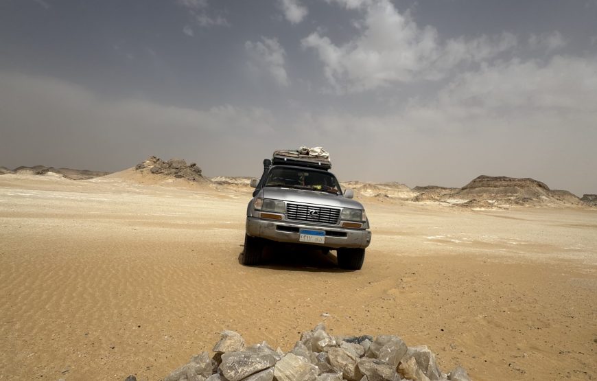 White & Black Desert Safari Experience