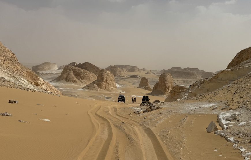 White & Black Desert Safari Experience