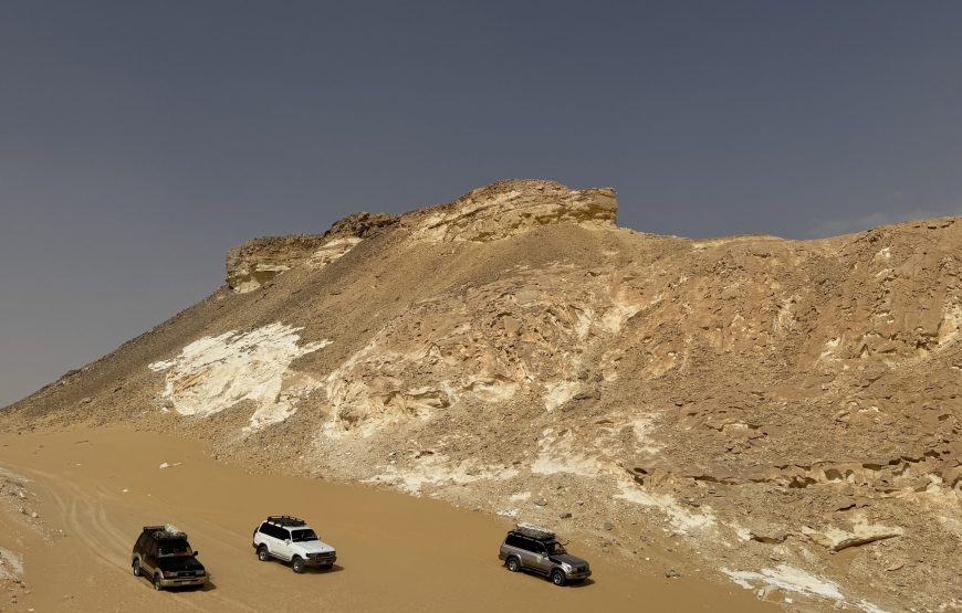 White & Black Desert Safari Experience