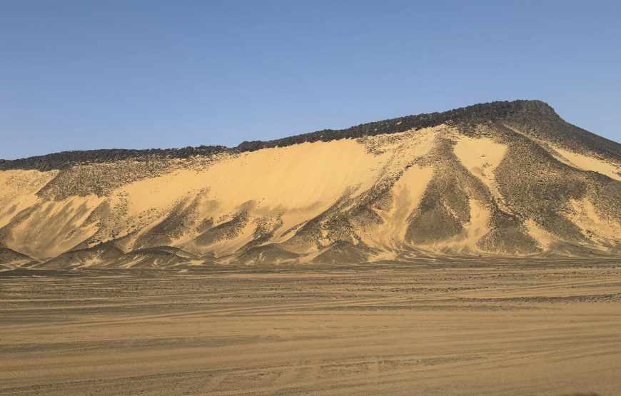 White & Black Desert Safari Experience