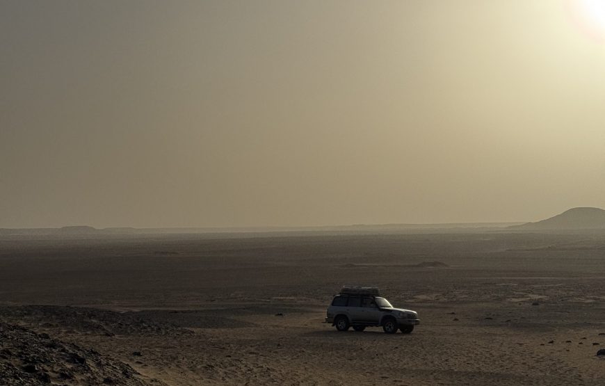 White & Black Desert Safari Experience