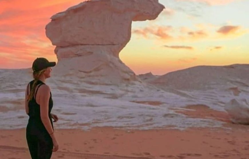 White & Black Desert Safari Experience