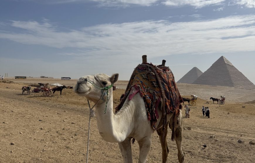 3 Nights in Cairo with 2 Full Day Tour