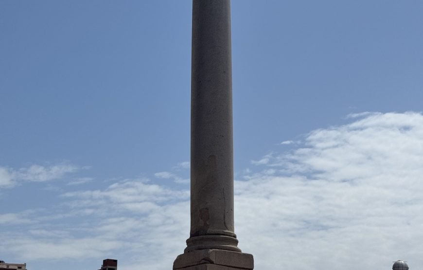 Alexandria Day Tour (Car + Guide + lunch)