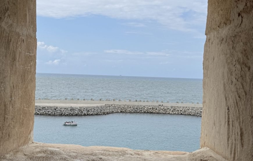 Alexandria Day Tour (Car + Guide + lunch)