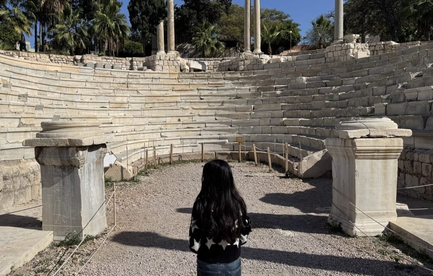 Alexandria Day Tour (Car + Guide + lunch)
