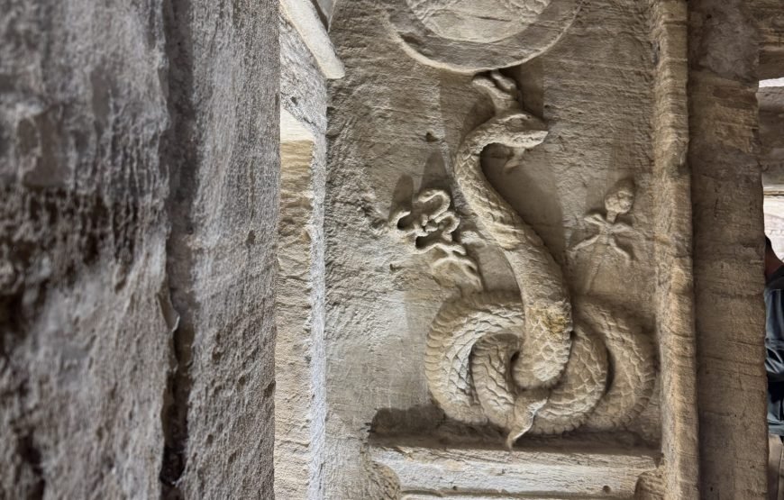 Alexandria Day Tour (Car + Guide + lunch)
