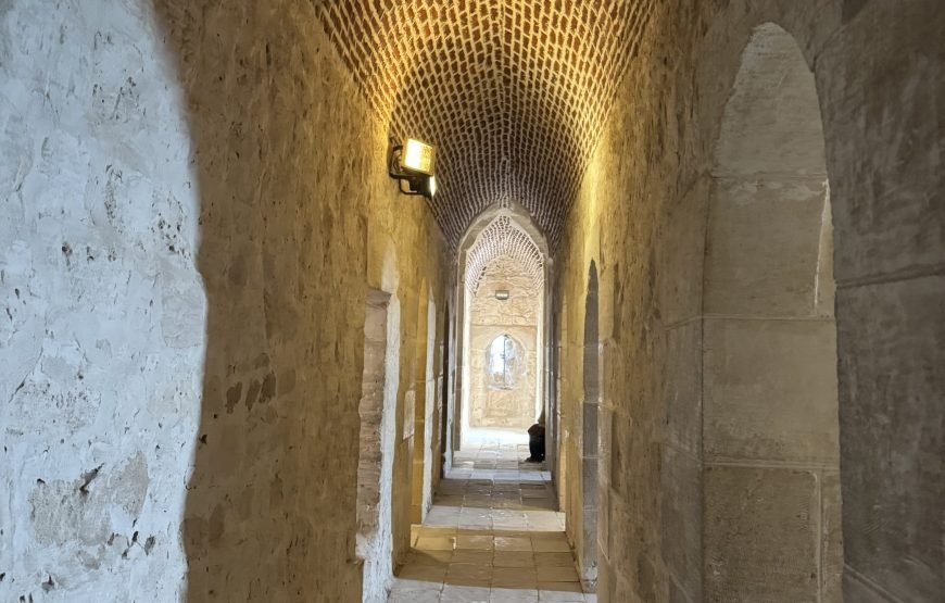 Alexandria Day Tour (Car + Guide + lunch)