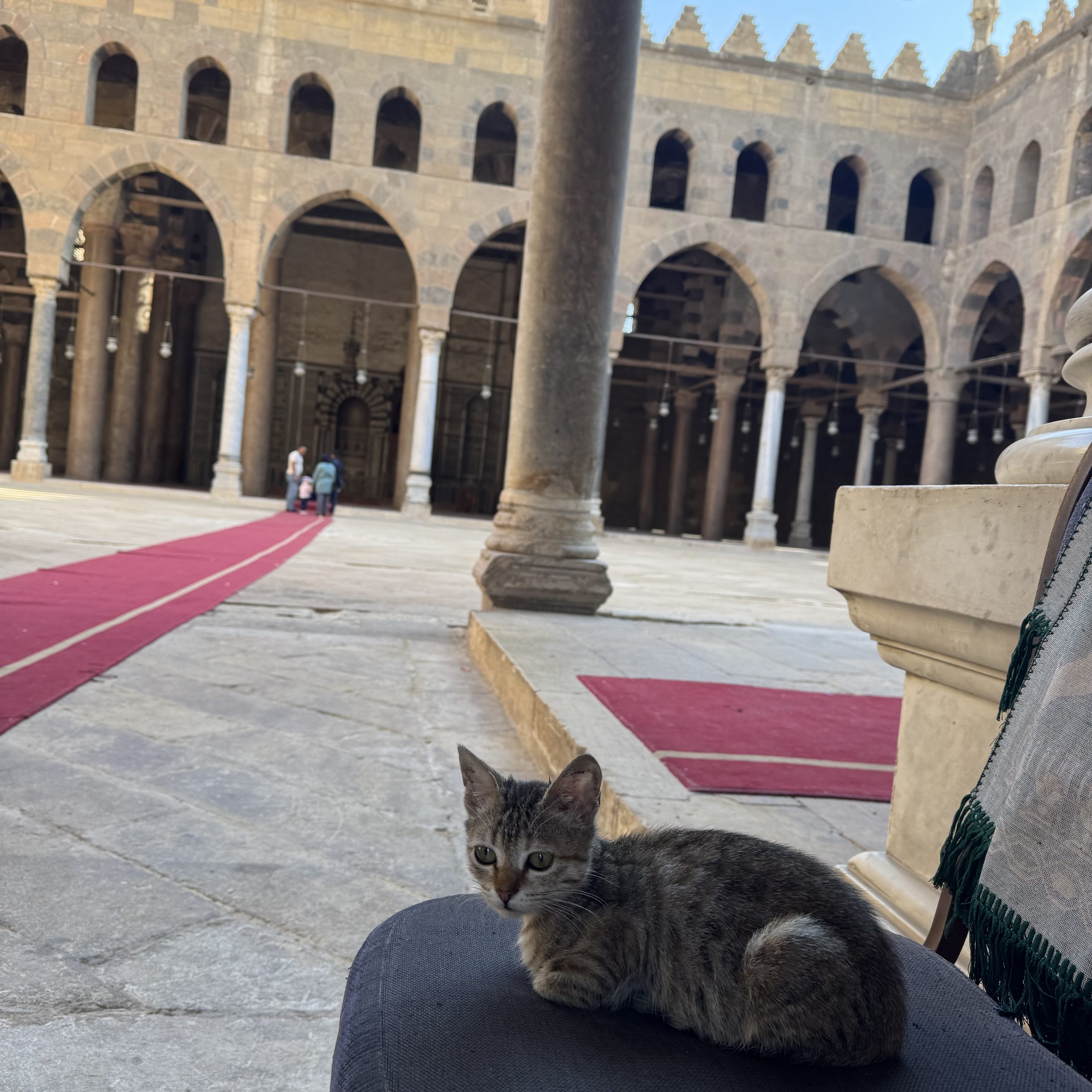 Citadel, NMEC, Coptic Cairo & Khan El Khalili Full-Day Tour (Car + Guide )⭐