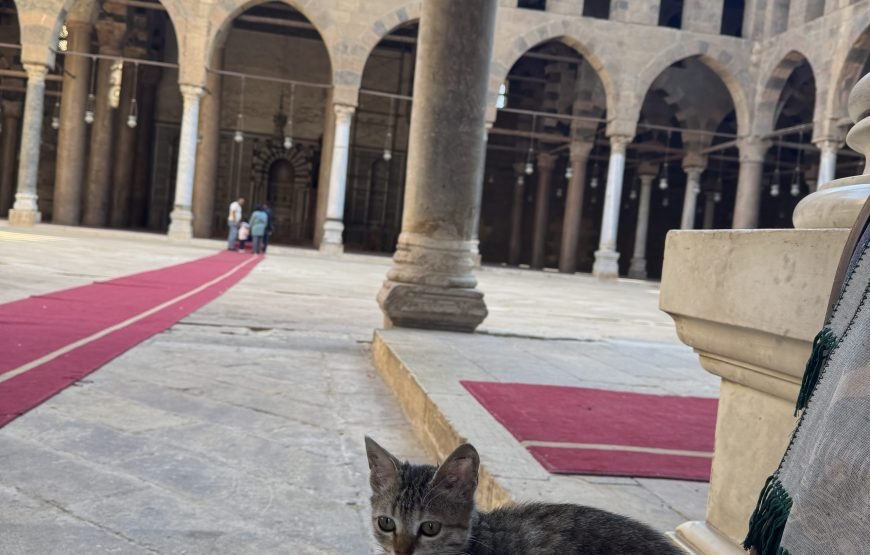 Egyptian Museum and Citadel and old Cairo (Car + Guide + Ticket)
