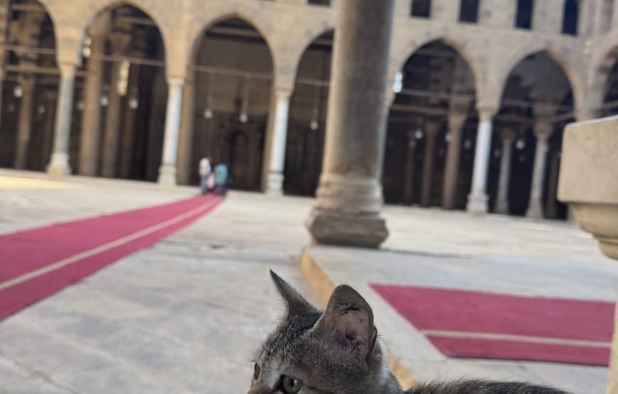 Privat Old Cairo Tour: Citadel, Coptic Cairo & Khan El Khalili (Car + Guide +Lunch + Ticket) ⭐