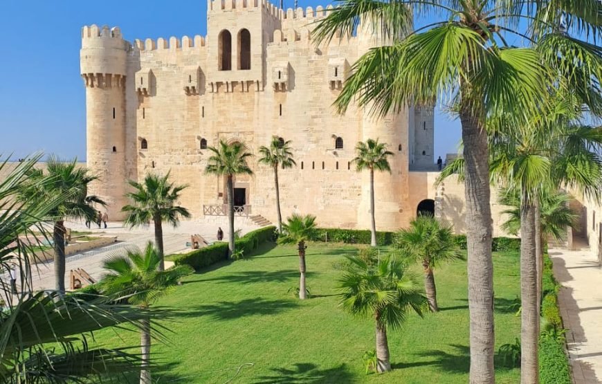Alexandria Day Tour (Car + Guide + Ticket + Lunch)