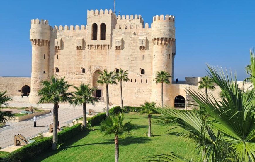 Alexandria Day Tour (Car + Guide + lunch)