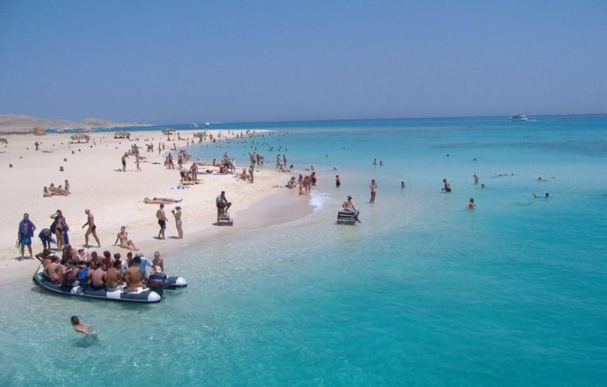 Alexandria Day Tour (Car + Guide + Ticket)