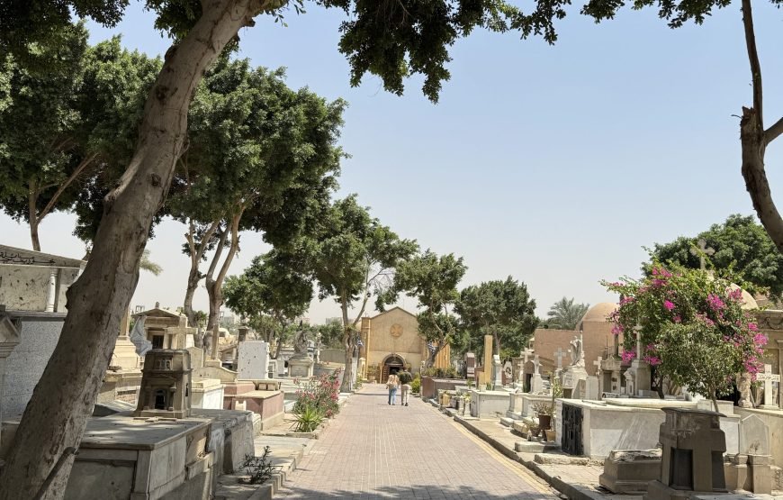 Citadel and old Cairo and National museum of Egyptian Civilization  (Car + Guide + lunch)