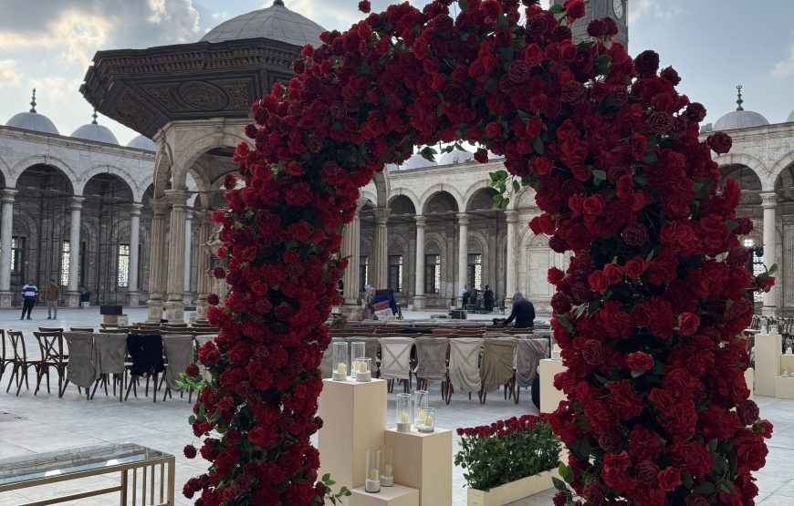 Citadel and old Cairo and National museum of Egyptian Civilization  (Car + Guide)