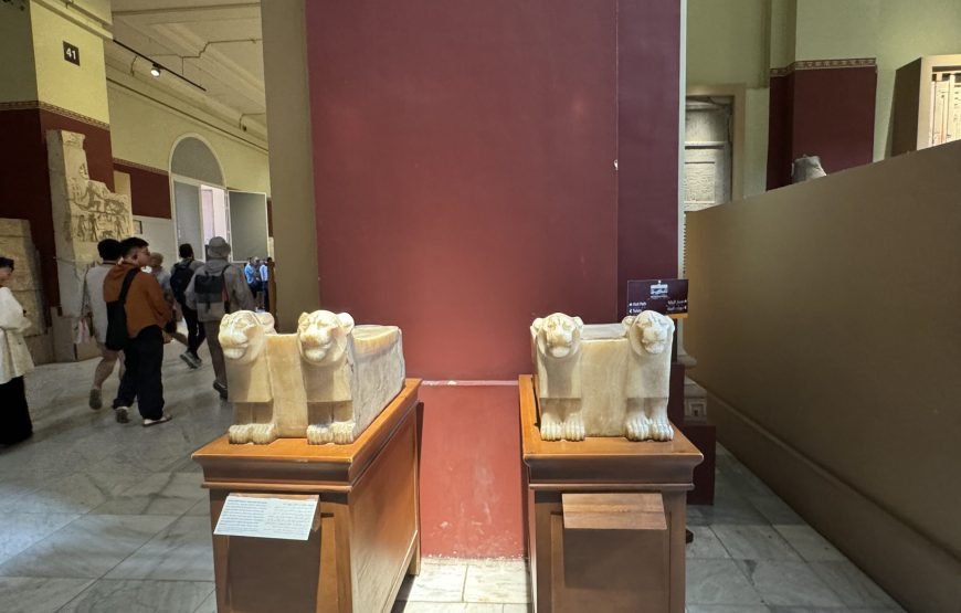 Egyptian museum Half day tour (Car + Guide + lunch)