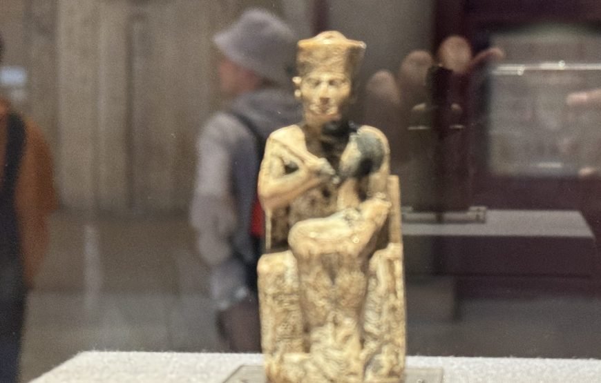 Egyptian Museum and Citadel and old Cairo (Car + Guide + lunch)