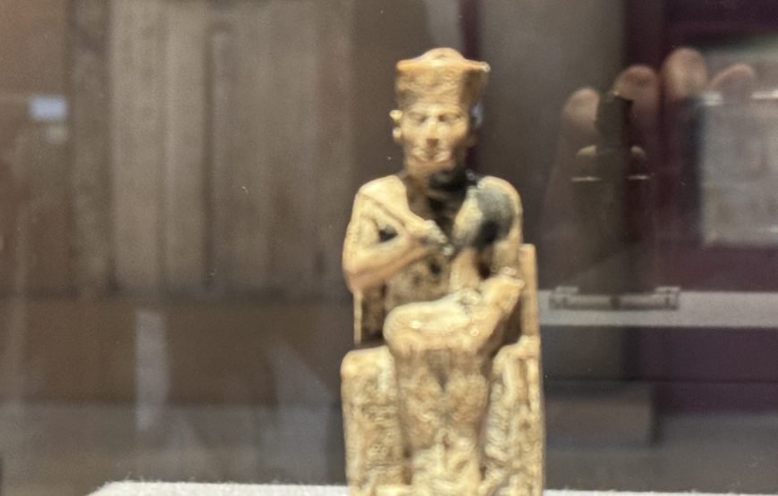 Egyptian museum Half day tour (Car + Guide + lunch)