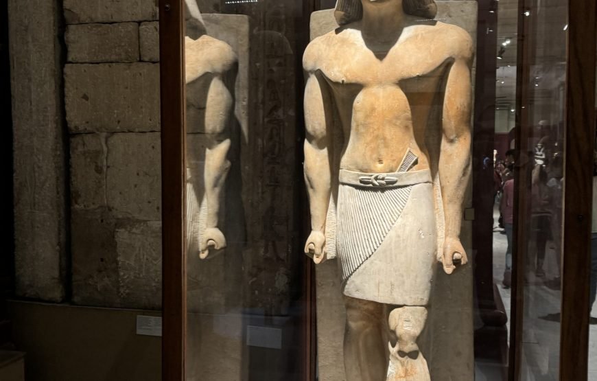 Egyptian museum Half day tour (Car + Guide + lunch)