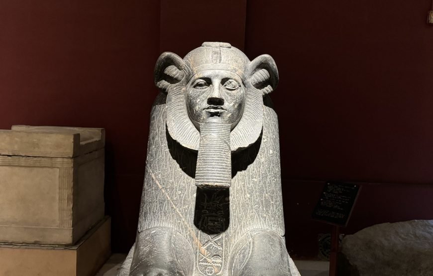 Egyptian museum Half day tour (Car + Guide + lunch)