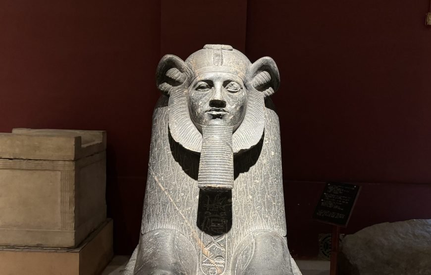 Egyptian Museum and Citadel and old Cairo (Car + Guide + Ticket + Lunch)