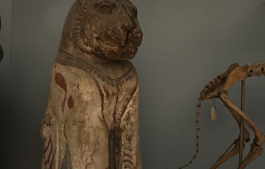 Egyptian Museum and Citadel and old Cairo (Car + Guide + Ticket + Lunch)