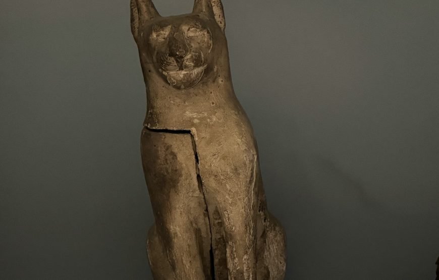 Egyptian museum Half day tour (Car + Guide + lunch)