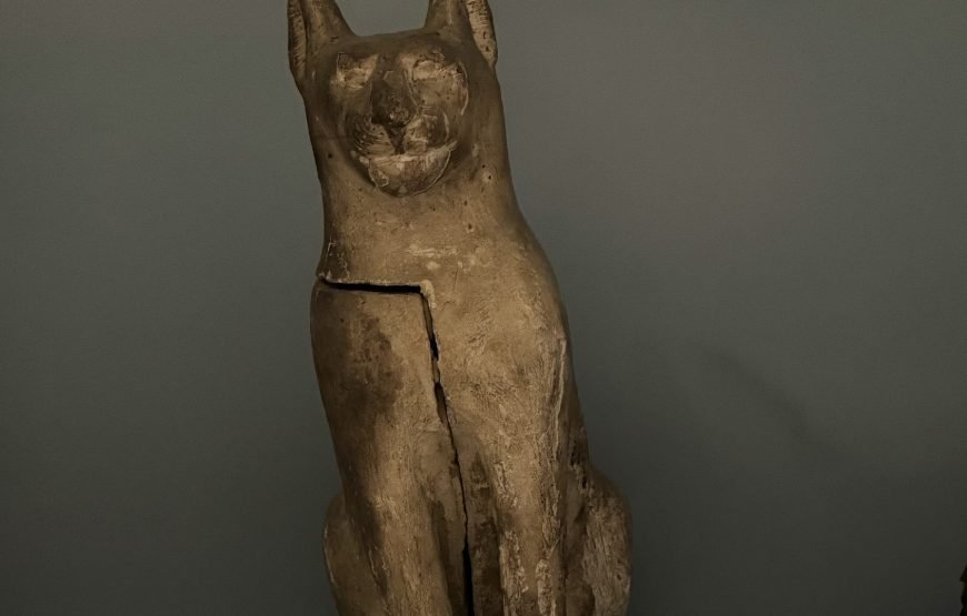 Egyptian museum Half day tour (Car + Guide + lunch)