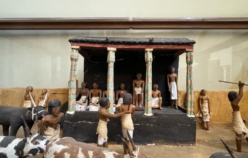 Egyptian museum Half day tour (Car + Guide + lunch)