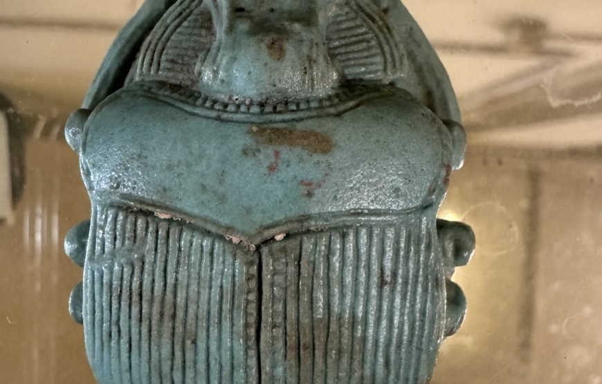 Egyptian museum Half day tour (Car + Guide + lunch)