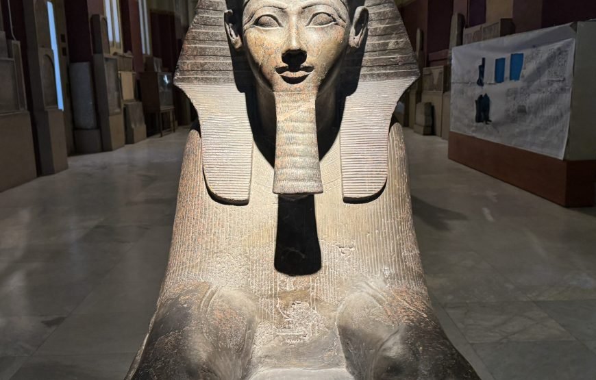 Egyptian museum Half day tour (Car + Guide + lunch)