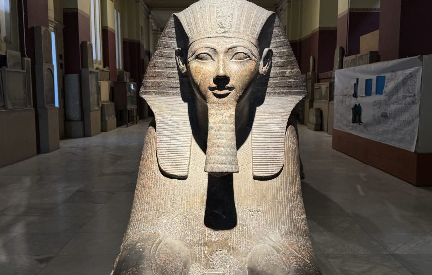 Egyptian Museum and Citadel and old Cairo (Car + Guide + Ticket + Lunch)